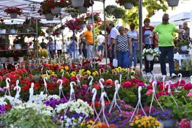  Înscrie-te la Târgul ExpoFlora Craiova 2025, Evenimentul Floral al Anului!