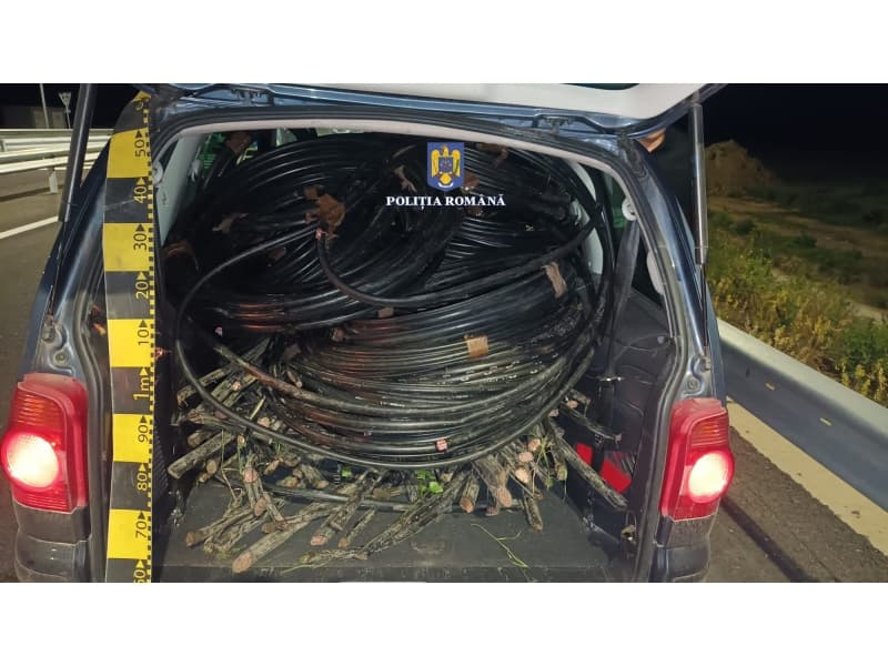 (VIDEO) Cinci tineri din Brăila, prinși de polițiștii din Râmnicu Sărat în timpul unui furt calificat