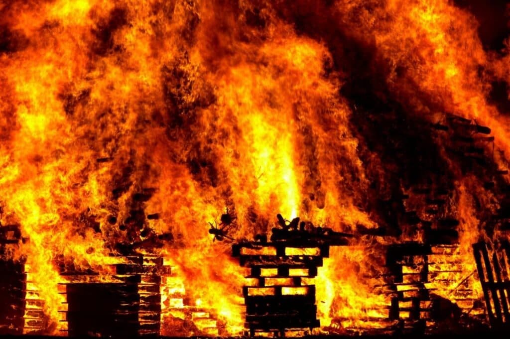 Incendiu Devastator în Adăpostul de Animale, Un Bărbat Rănit Grav